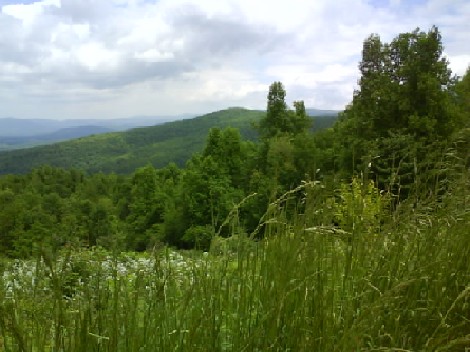 Skyline Drive.jpg